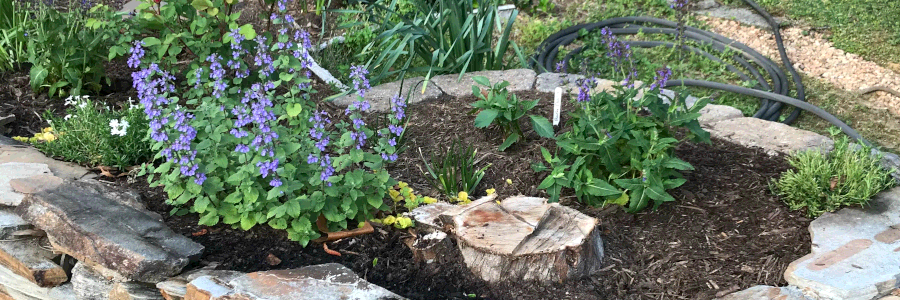 (after) Cottage Garden Corner.