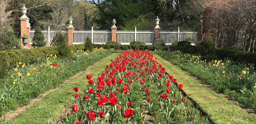 Colonial Williamsburg’s Governor’s Palace Gardens.