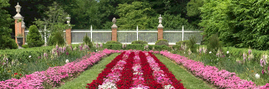 Governor’s Palace Garden at Colonial Williamsburg.