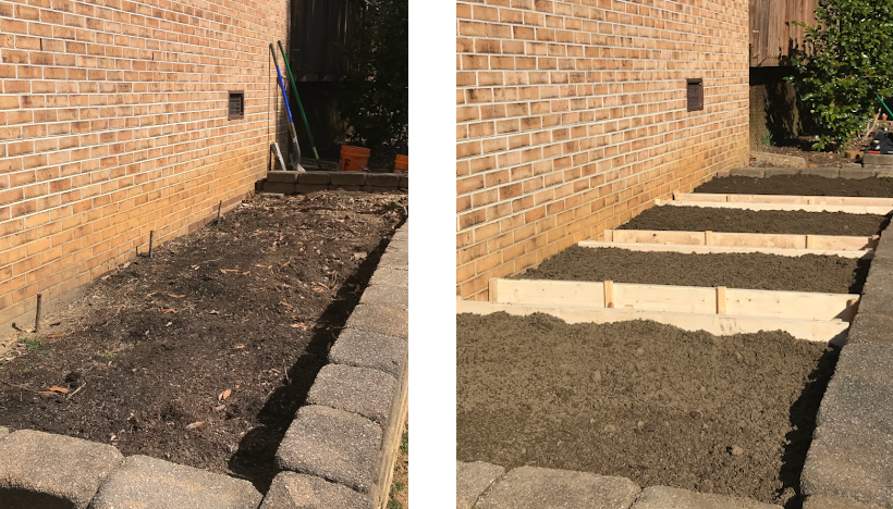 Vegetable garden before and after.